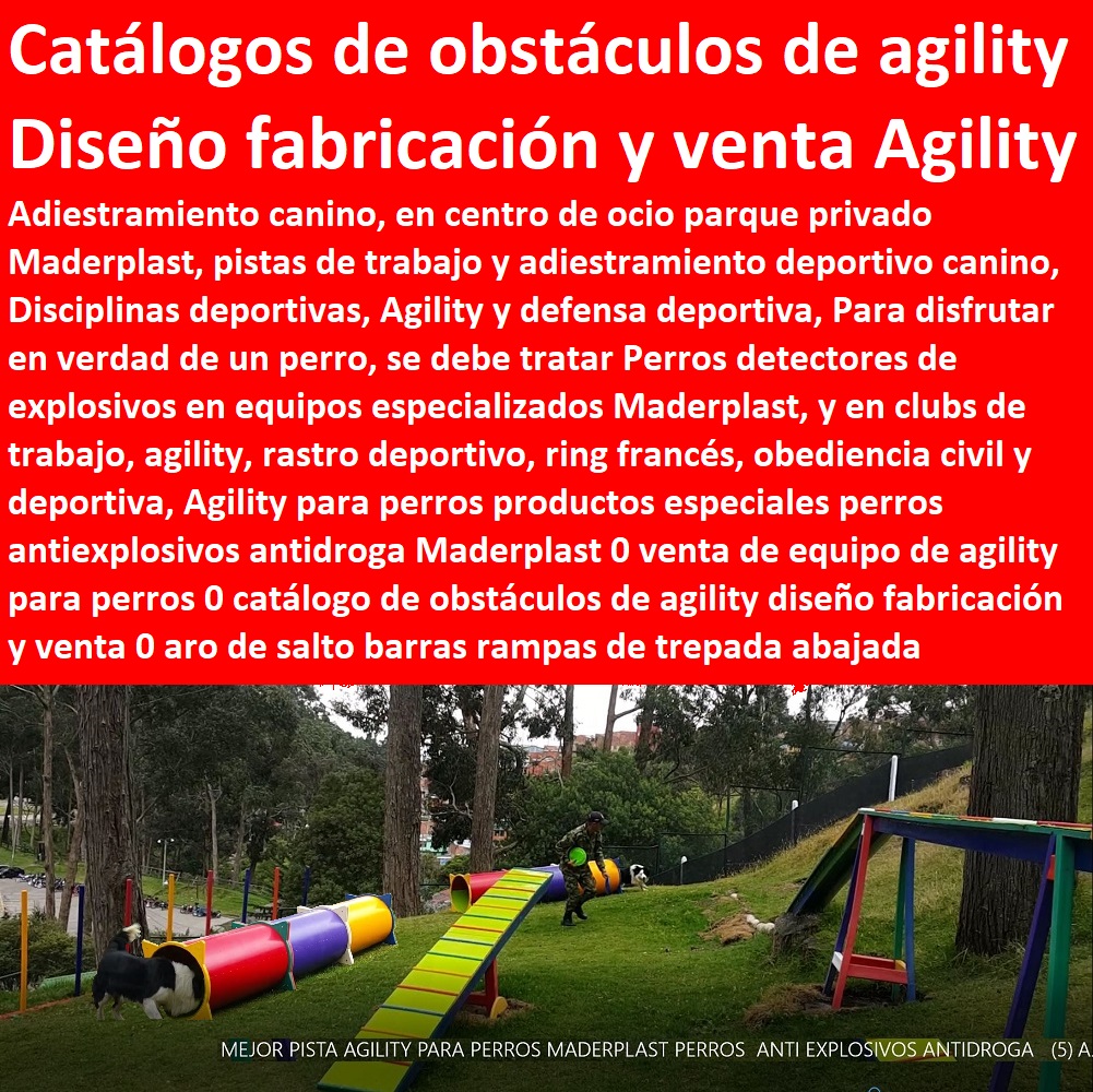 Agility para perros productos especiales perros antiexplosivos antidroga Maderplast 0 venta de equipo de agility para perros 0 catálogo de obstáculos de agility diseño fabricación y venta 0 aro de salto barras rampas de trepada abajada Agility para perros productos especiales perros antiexplosivos antidroga Maderplast 0 venta de equipo de agility para perros 0 catálogo de obstáculos de agility diseño fabricación y venta 0 aro de salto barras rampas de trepada abajada